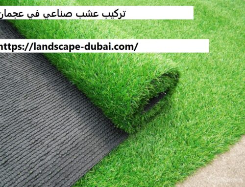 تركيب عشب صناعي في عجمان |0589301941| نجيل طبيعي
