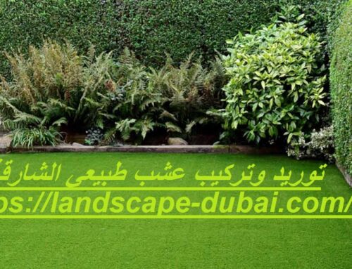 توريد وتركيب عشب طبيعي الشارقة |0589301941