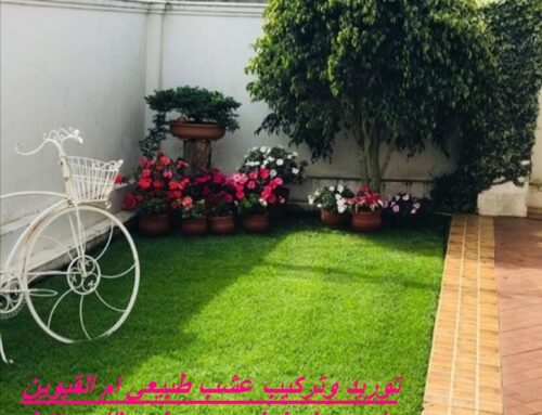 توريد وتركيب عشب طبيعي ام القيوين |0589301941