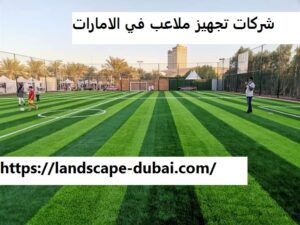 شركات تجهيز ملاعب في الامارات