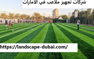 شركات تجهيز ملاعب في الامارات