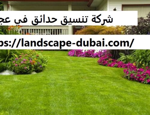 شركة تنسيق حدائق في عجمان |0589301941| تصميم الحدائق